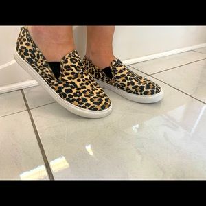 cheetah steve madden pull on shoes